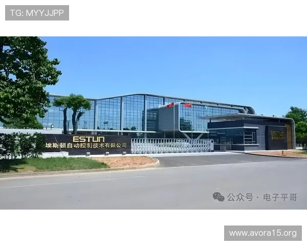 凯发集团的企业简介与历史沿革，探索其在网络游戏行业的崛起之路